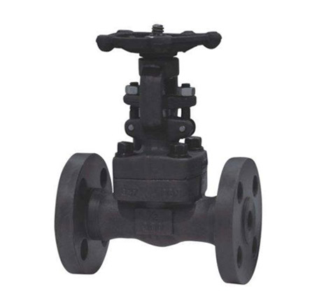 Forged Steel Flange Gate Valve