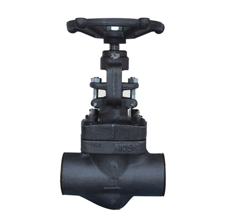 Forged Steel (NPT) Globe Valve